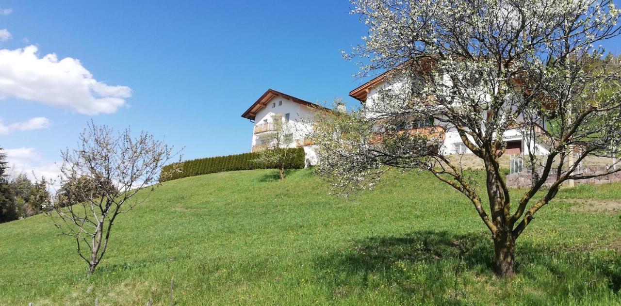 לאיון Agriturismo Ferienhof Gschloier (Adults Only) מראה חיצוני תמונה